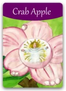 Flor de Bach Crab_apple_1 - Sumersalud
